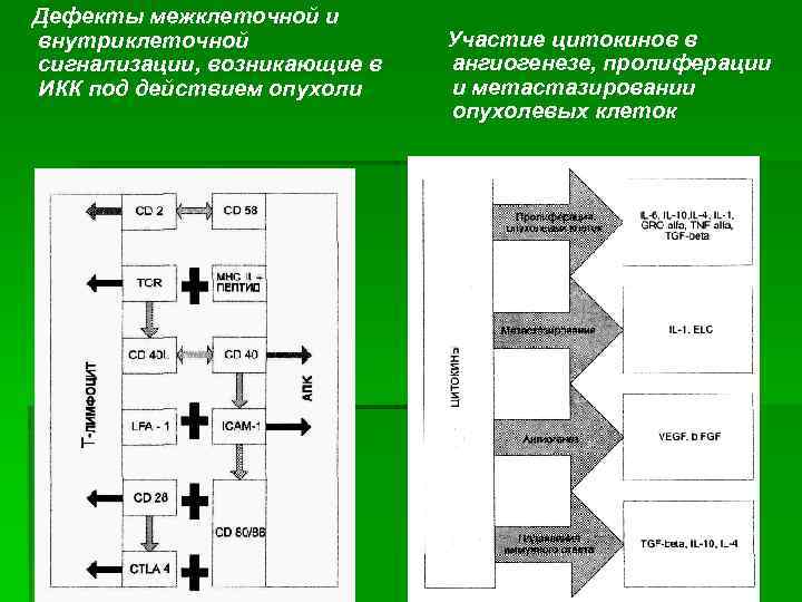 Дефекты межклеточной и внутриклеточной сигнализации, возникающие в ИКК под действием опухоли Участие цитокинов в