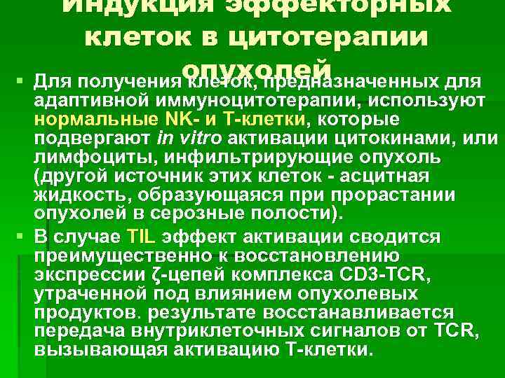 § Индукция эффекторных клеток в цитотерапии опухолей Для получения клеток, предназначенных для адаптивной иммуноцитотерапии,