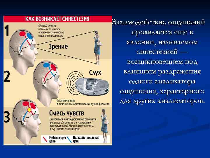 Взаимодействие ощущений проявляется еще в явлении, называемом синестезией — возникновением под влиянием раздражения одного