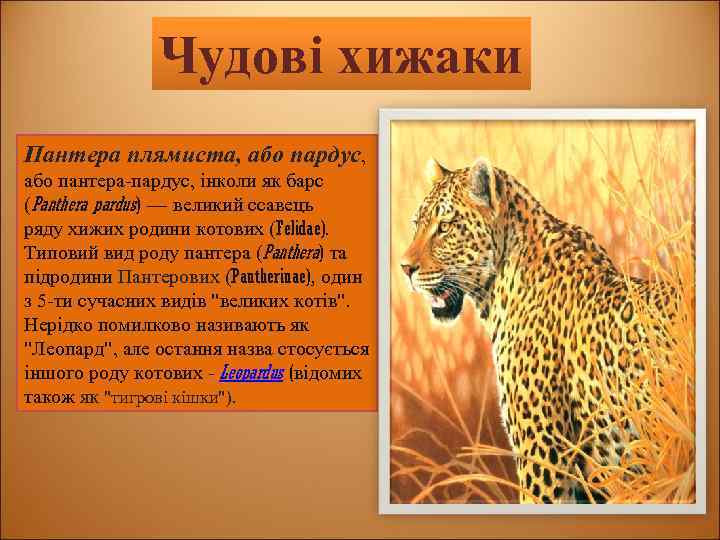 Чудові хижаки Пантера плямиста, або пардус, або пантера-пардус, інколи як барс (Panthera pardus) —