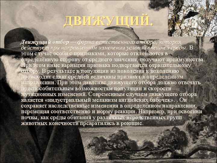 ДВИЖУЩИЙ. Движущий отбор — форма естественного отбора, которая действует при направленном изменении условий внешней