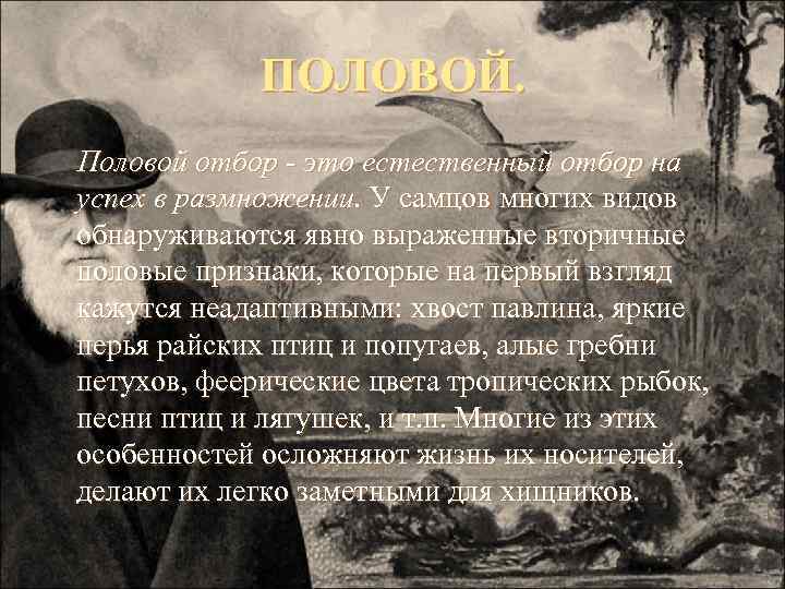 ПОЛОВОЙ. Половой отбор - это естественный отбор на успех в размножении. У самцов многих