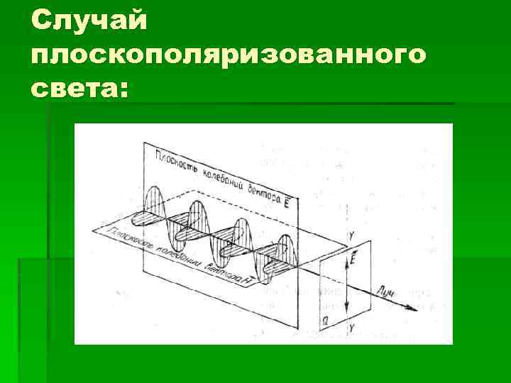 Случай плоскополяризованного света: 
