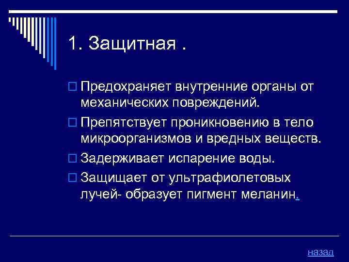 1. Защитная. o Предохраняет внутренние органы от механических повреждений. o Препятствует проникновению в тело