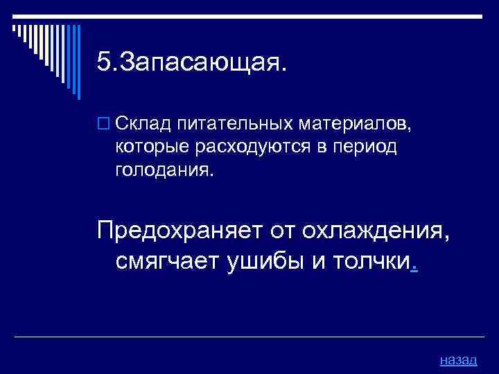 5. Запасающая. o Склад питательных материалов, которые расходуются в период голодания. Предохраняет от охлаждения,