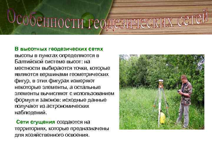 В высотных геодезических сетях высоты в пунктах определяются в Балтийской системе высот: на местности