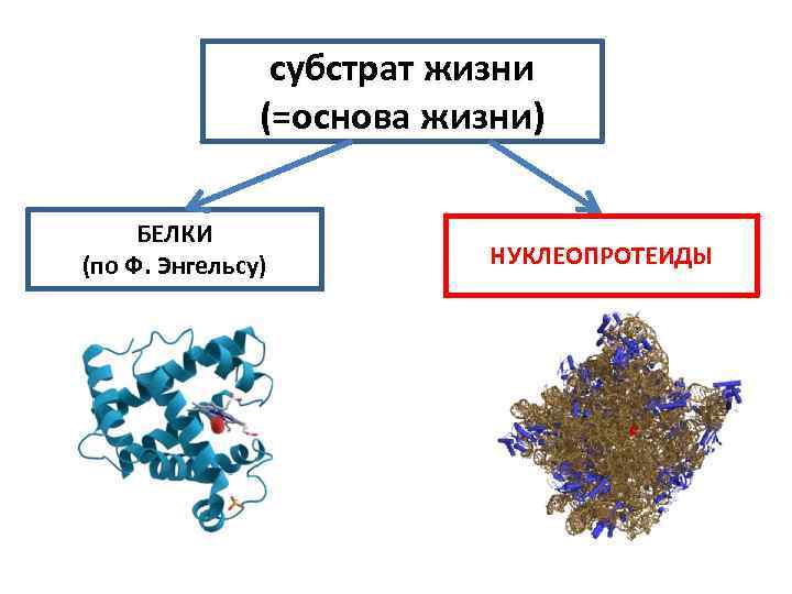 Субстрат это. Субстрат жизни. Сущность и субстрат жизни. Субстрат жизни это в биологии. Основа субстрата жизни.