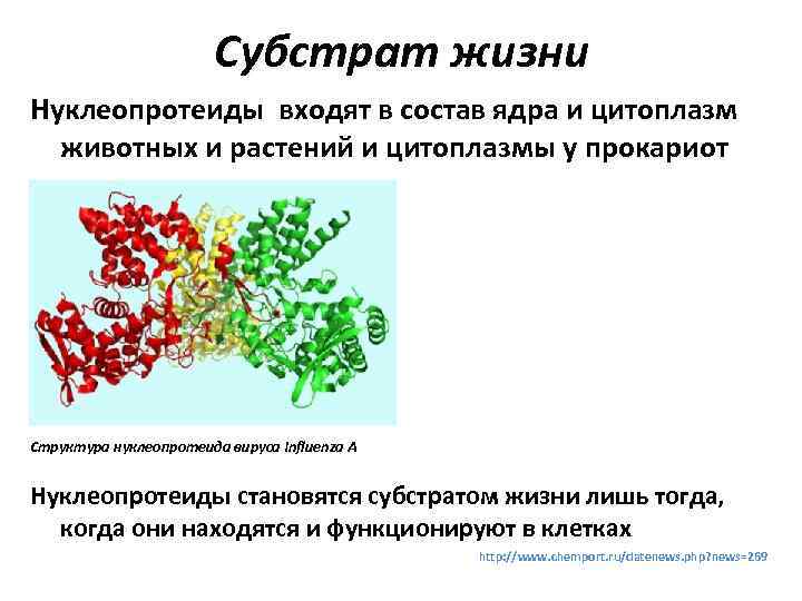 Субстрат это. Определение понятия и субстрат жизни. Сущность и субстрат жизни. Субстрат жизни это в биологии. Сущность и субстрат жизни кратко.