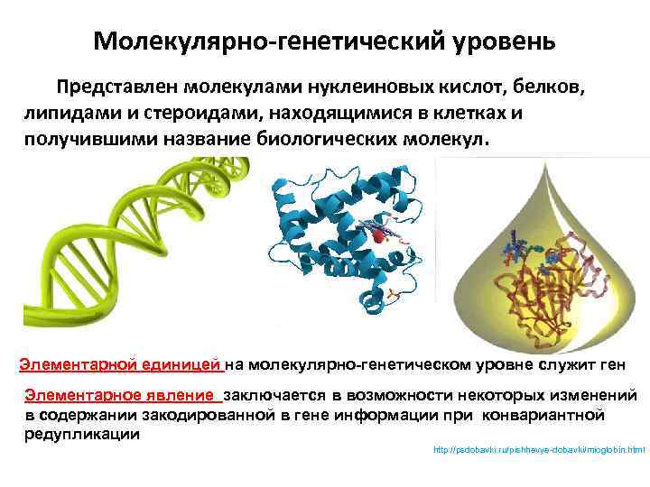 Понятие молекулярный