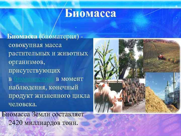 Биомасса (биоматерия) - совокупная масса растительных и животных организмов, присутствующих в биогеоценозе в момент