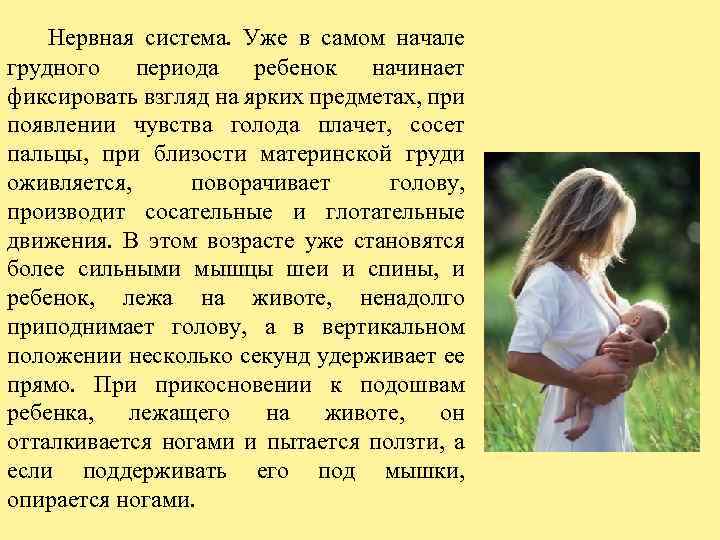  Нервная система. Уже в самом начале грудного периода ребенок начинает фиксировать взгляд на