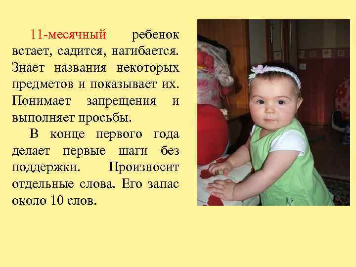11 -месячный ребенок встает, садится, нагибается. Знает названия некоторых предметов и показывает их. Понимает