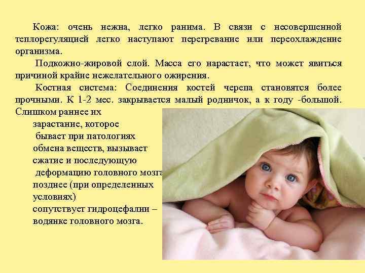 Кожа: очень нежна, легко ранима. В связи с несовершенной теплорегуляцией легко наступают перегревание или