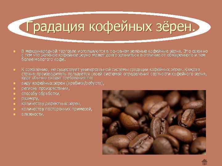 Градация кофейных зёрен. n n n n n В международной торговле используются в основном