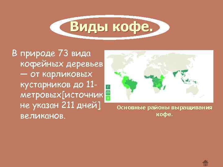 Виды кофе. В природе 73 видa кофейных деревьев — от карликовых кустарников до 11