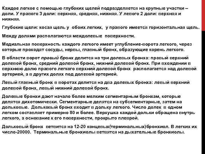 Каждое легкое с помощью глубоких щелей подразделяется на крупные участки – доли. У правого