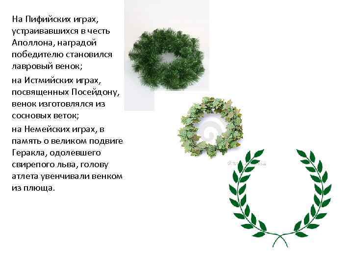 На Пифийских играх, устраивавшихся в честь Аполлона, наградой победителю становился лавровый венок; на Истмийских