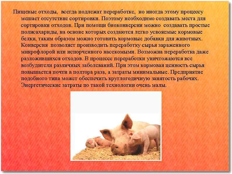 Пищевые отходы, всегда подлежат переработке, но иногда этому процессу мешает отсутствие сортировки. Поэтому необходимо