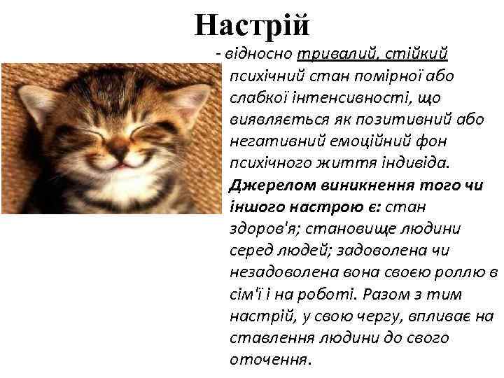 Настрій відносно тривалий, стійкий психічний стан помірної або слабкої інтенсивності, що виявляється як позитивний