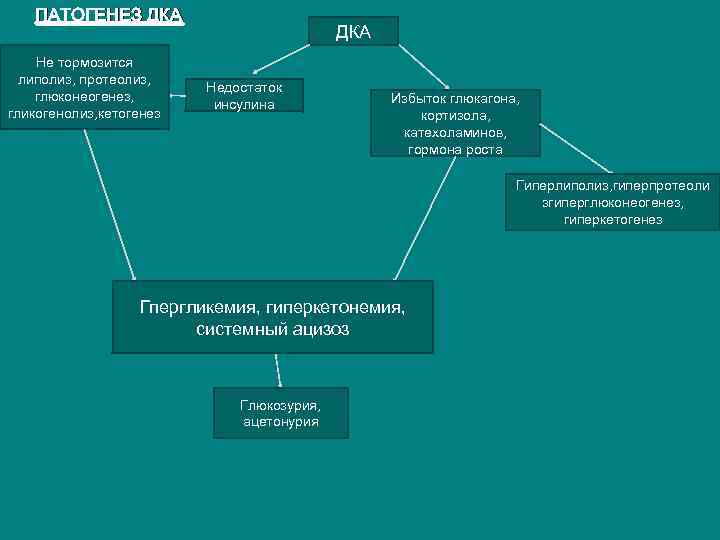 ПАТОГЕНЕЗ ДКА Не тормозится липолиз, протеолиз, глюконеогенез, гликогенолиз, кетогенез ДКА Недостаток инсулина Избыток глюкагона,