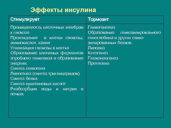 Эффекты инсулина Стимулирует Тормозит Проницаемость клеточных мембран к глюкозе Прохождение в клетки глюкозы, аминокислот,