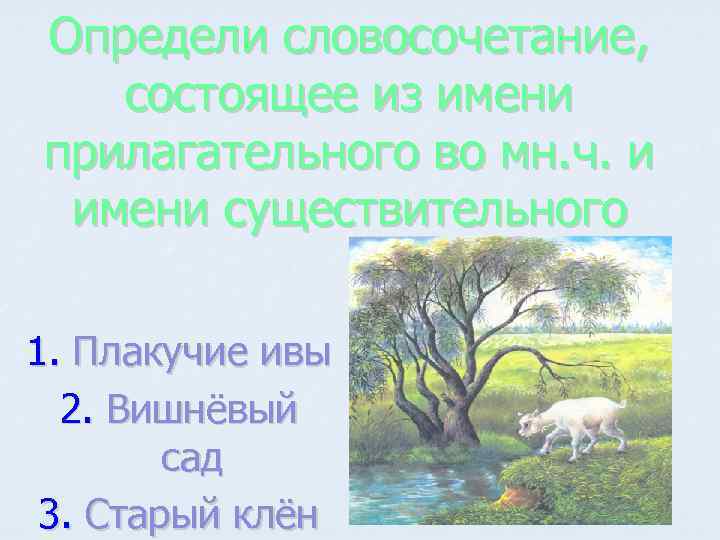 Определи словосочетание, состоящее из имени прилагательного во мн. ч. и имени существительного 1. Плакучие