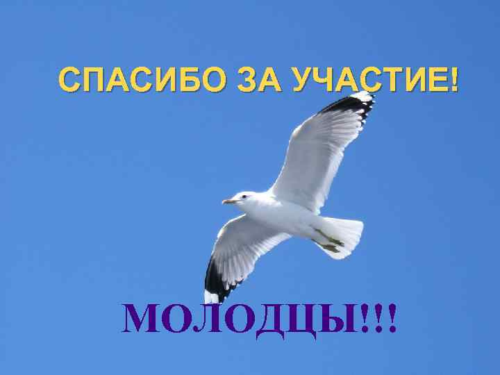 СПАСИБО ЗА УЧАСТИЕ! МОЛОДЦЫ!!! 