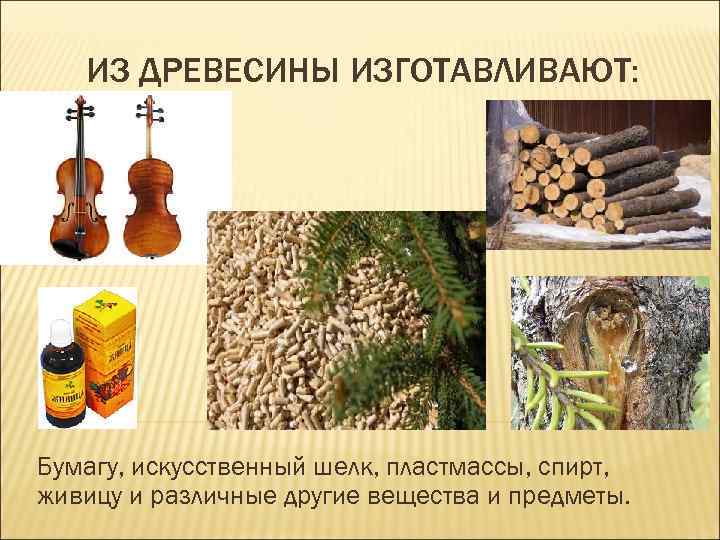 ИЗ ДРЕВЕСИНЫ ИЗГОТАВЛИВАЮТ: Бумагу, искусственный шелк, пластмассы, спирт, живицу и различные другие вещества и