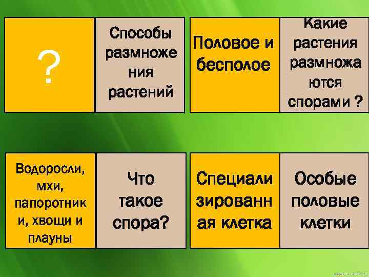 ? Водоросли, мхи, папоротник и, хвощи и плауны Какие Способы Половое и растения размноже