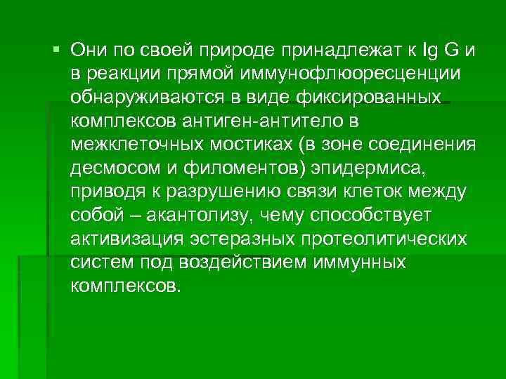 § Они по своей природе принадлежат к Ig G и в реакции прямой иммунофлюоресценции