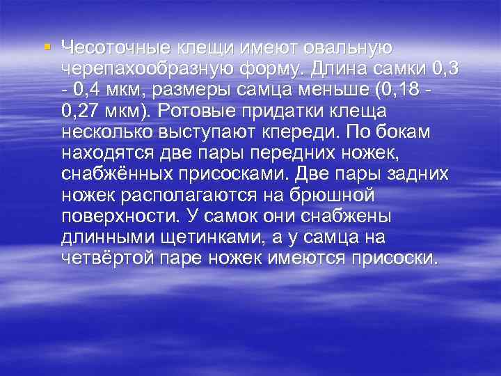 § Чесоточные клещи имеют овальную черепахообразную форму. Длина самки 0, 3 - 0, 4
