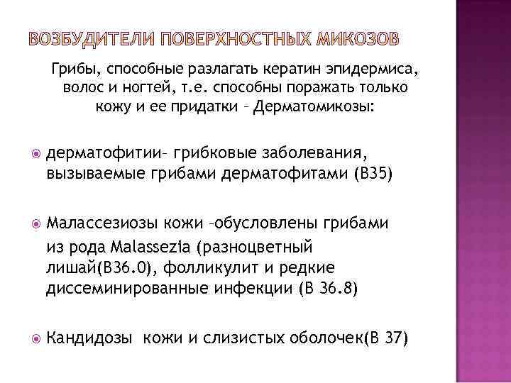  Дерматофиты – грибы из родов Trichophyton, Microsporum и Epidermophyton  Пораженоот 10 до