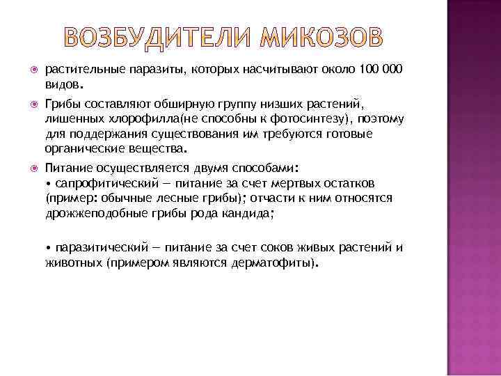   Грибы принято делить на три группы: Дрожжи Плесени Шляпочные грибы  