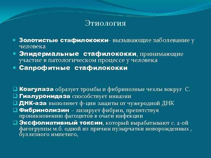 Этиология Золотистые стафилококки- вызывающие заболевание у человека Эпидермальные стафилококки, принимающие участие в патологическом процессе