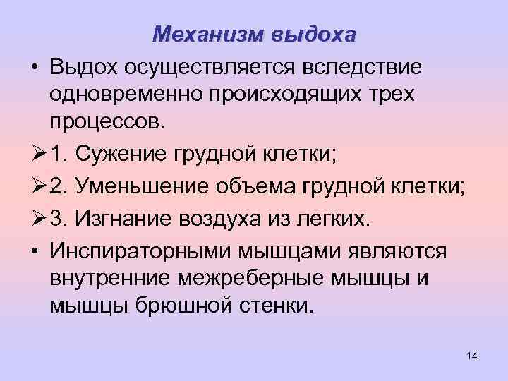 Механизм выдоха • Выдох осуществляется вследствие одновременно происходящих трех процессов. Ø 1. Сужение грудной