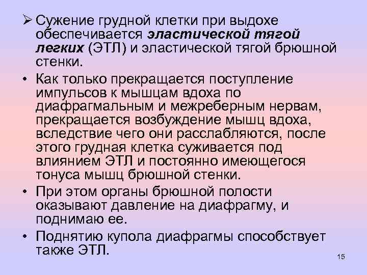Ø Сужение грудной клетки при выдохе обеспечивается эластической тягой легких (ЭТЛ) и эластической тягой