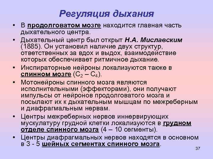 Регуляция дыхания • В продолговатом мозге находится главная часть дыхательного центра. • Дыхательный центр