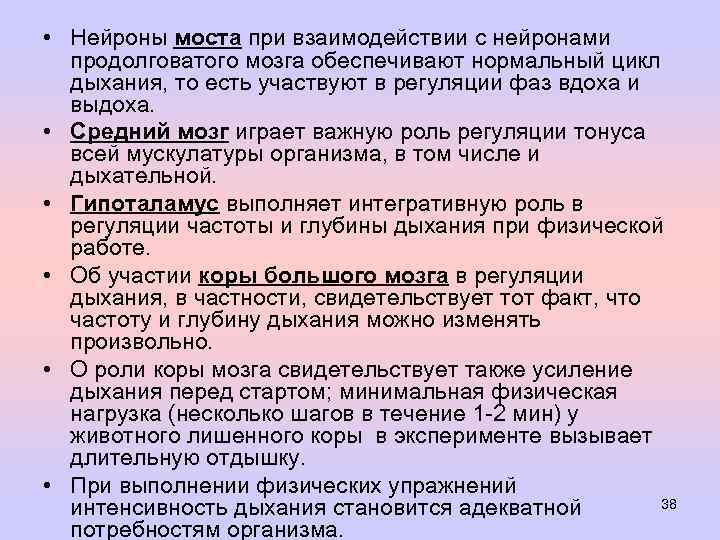  • Нейроны моста при взаимодействии с нейронами продолговатого мозга обеспечивают нормальный цикл дыхания,