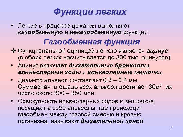 Функции легких