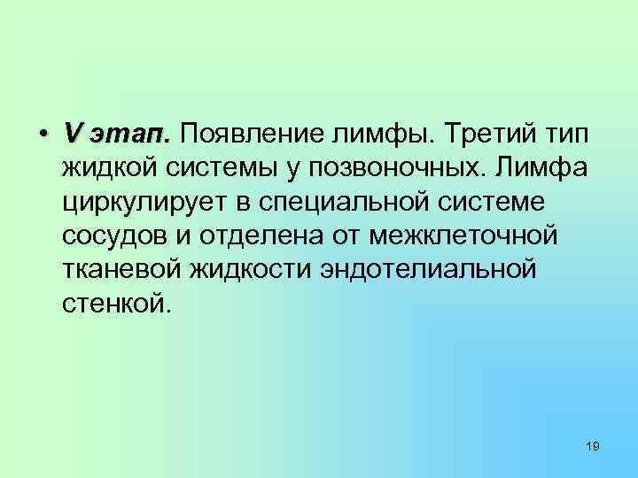 • V этап. Появление лимфы. Третий тип жидкой системы у позвоночных. Лимфа циркулирует