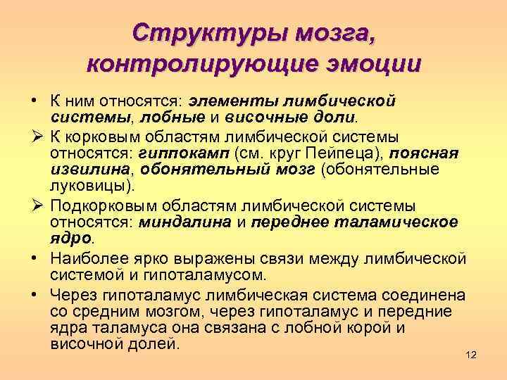 Структуры мозга, контролирующие эмоции • К ним относятся: элементы лимбической системы, лобные и височные