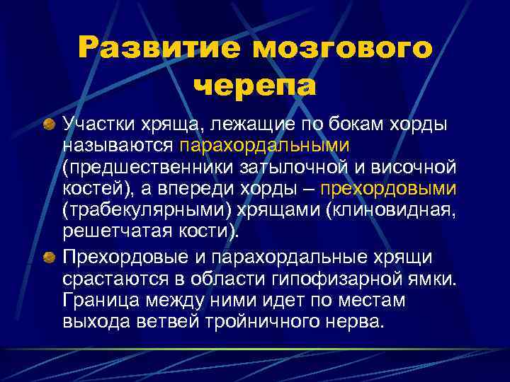 Развитие мозгового черепа Участки хряща, лежащие по бокам хорды называются парахордальными (предшественники затылочной и