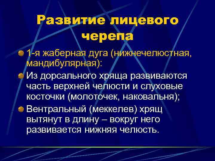 Развитие лицевого черепа 1 -я жаберная дуга (нижнечелюстная, мандибулярная): Из дорсального хряща развиваются часть