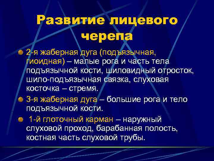 Развитие лицевого черепа 2 -я жаберная дуга (подъязычная, гиоидная) – малые рога и часть