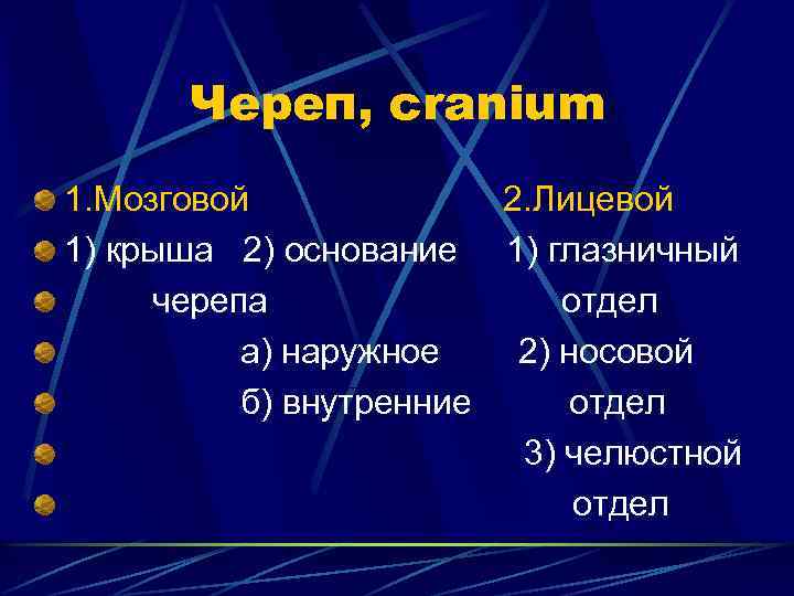 Череп, cranium 1. Мозговой 2. Лицевой 1) крыша 2) основание 1) глазничный черепа отдел