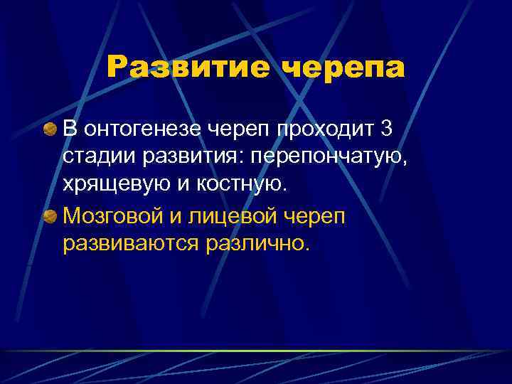 Развитие черепа В онтогенезе череп проходит 3 стадии развития: перепончатую, хрящевую и костную. Мозговой