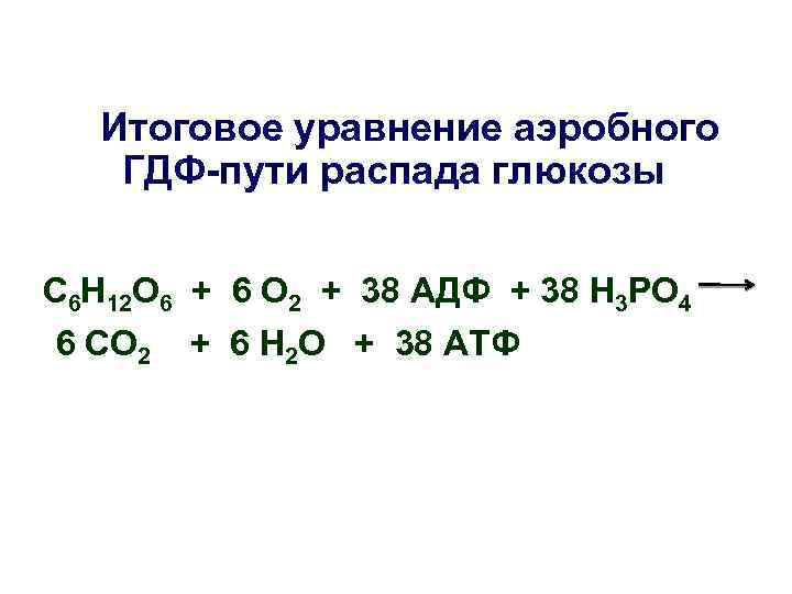 Итоговое уравнение аэробного ГДФ-пути распада глюкозы С 6 Н 12 О 6 + 6