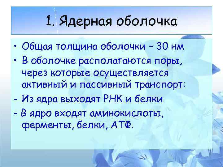 1. Ядерная оболочка • Общая толщина оболочки – 30 нм • В оболочке располагаются