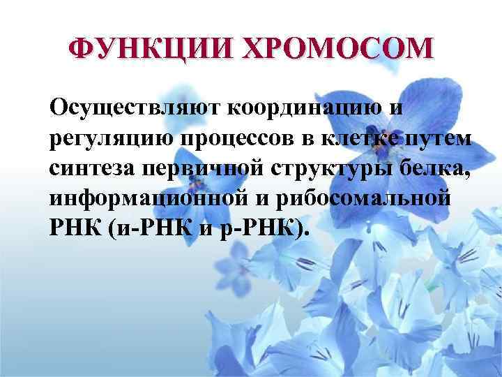 ФУНКЦИИ ХРОМОСОМ Осуществляют координацию и регуляцию процессов в клетке путем синтеза первичной структуры белка,