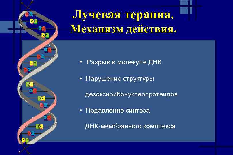 Лучевая терапия. Механизм действия. • Разрыв в молекуле ДНК • Нарушение структуры дезоксирибонуклеопротеидов •
